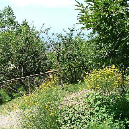 فيلا فيكو إيكوينسفي Agriturismo La Ginestra المظهر الخارجي الصورة