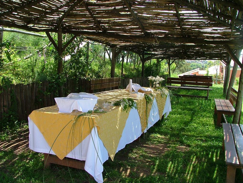 فيلا فيكو إيكوينسفي Agriturismo La Ginestra الغرفة الصورة