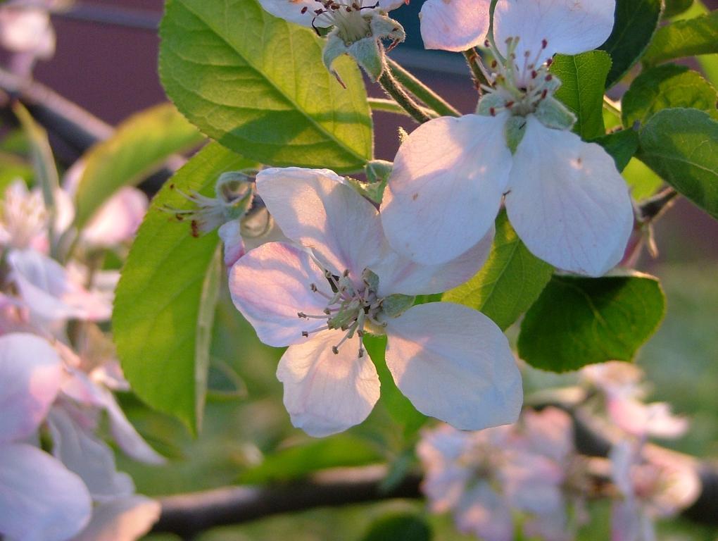 فيلا فيكو إيكوينسفي Agriturismo La Ginestra الغرفة الصورة