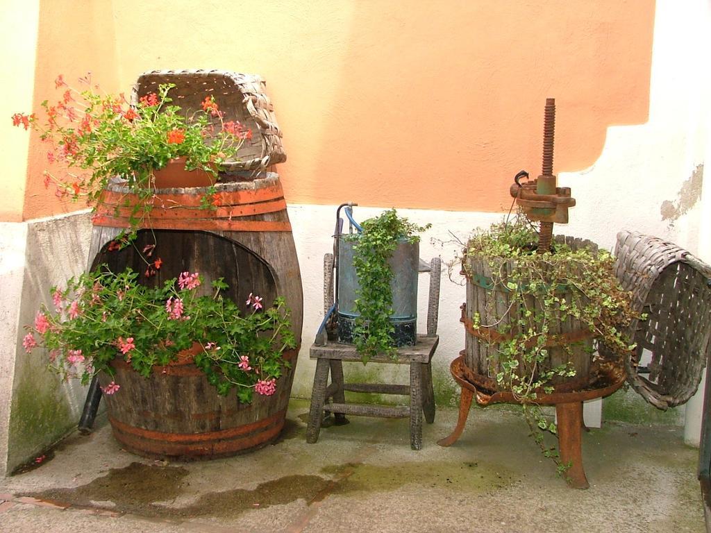 فيلا فيكو إيكوينسفي Agriturismo La Ginestra الغرفة الصورة