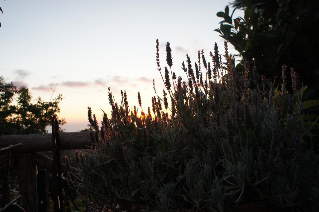 فيلا فيكو إيكوينسفي Agriturismo La Ginestra المظهر الخارجي الصورة