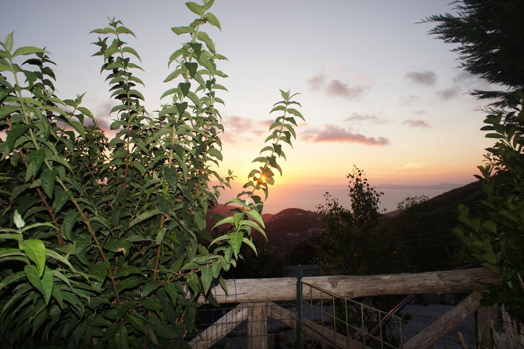 فيلا فيكو إيكوينسفي Agriturismo La Ginestra المظهر الخارجي الصورة