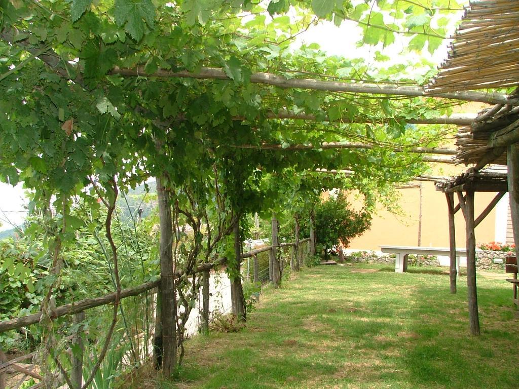 فيلا فيكو إيكوينسفي Agriturismo La Ginestra المظهر الخارجي الصورة